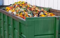 South Africa's paradox of hunger and food waste: millions go hungry while food rots