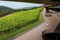 Italian wine heist won’t disrupt Canadian releases of Antinori’s iconic red wines