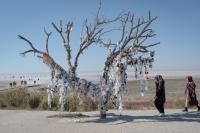 Drought threatens wildlife and livelihoods at Turkey’s Salt Lake