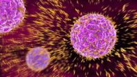 Google speeds protein structure prediction 8.6-fold to advance targeted cancer research