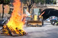 Europe’s protests are a revolt against Atlanticism