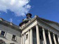 Meet the down-ballot S.C. candidates you may not know