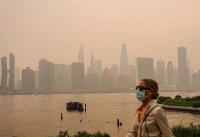 High on Health: Your Environment May Increase the Risk of Alzheimer’s