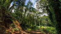Brazil’s Amazon Deforestation Falls To Record Low, Forest Loss Drops 42%