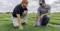 OSU Agriculture scientists study bermudagrass, water, black bears