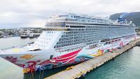 Norwegian Cruise Ship Hosting Next Savannah Bananas Cruise