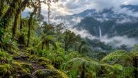 La Amistad International Park Shows Why Panama’s Highland Forests Matter