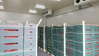 Kenya plans US$34M Naivasha cold-chain hub for horticultural exports