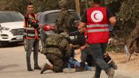 Israeli settler terrorists attack European delegation in West Bank