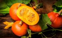Germany’s favorite pumpkin: the Hokkaido