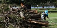 Shaken Trump DOJ begs to ditch judge who grilled officials over razed golf course trees