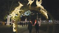LUMAGICA light festival returns to Tel Aviv's Hayarkon Park after 160,000 visitors in first edition
