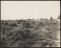 Flashback: Autoists like La Pine drive in 1926, Central Oregon growers take honors in 1951