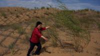UN recognises three Chinese women for rural contributions