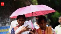 El Nino and global warming set stage for early 2027 heat in India: Report
