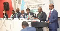 African blocs push joint funding, local production of medical supplies