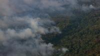 Brazil's Amazon Deforestation Hits Lowest Level on Record