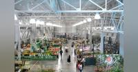 Lighting the San Francisco Flower Market