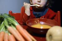 Texas Accuses Gerber of Marketing as Rigorously Tested While Its Own Tests Found Heavy Metals