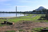 Tidal Basin Walk Confronts DC's Worst-in-Nation Breast Cancer Death Rate