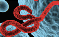 <![CDATA[Ebola Outbreak in DRC Tops 9235 Confirmed Cases, CDC Reports]]>