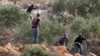 Belgium slates West Bank attack on Palestinians, diplomats