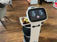 Will Nigerians Welcome Robots Delivering Their Food?