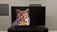I tested the Sony Bravia 9 II for weeks. It’s the best mini-LED TV of 2026, and a ‘showcase for what RGB can do’ — and it takes the fight to OLED