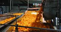 Lodi’s Pacific Coast Producers to receive $482K in specialty crop funding