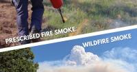 Why controlled burns in California are better than wildfire smoke