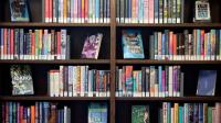 New program looks to businesses to help fill K-3 literacy needs