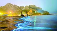Research project sheds new light on harmful algal blooms along Oman coast