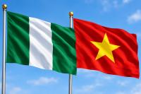 Nigeria, Vietnam push to limit foreign investors’ compensation in international disputes