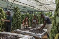 Sao Tome’s niche vanilla finds far-away fans