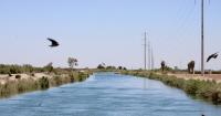 Arizona joins Nevada lawsuit over Colorado River Water deliveries