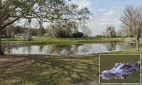 Fisherman, 71, killed by 12-foot alligator in Florida waters infested with dangerous animals