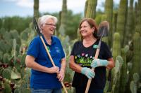 Meet Maricopa’s gardening gurus