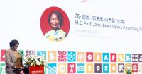 Global Climate policies must not ignore developing countries’ realities - Veep Opoku-Agyemang