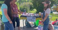 Now in Ashe County: Big help to lower your energy bills