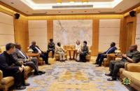 Global South must work towards better multilateralism – Vice President Opoku-Agyemang   