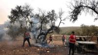 “Israeli” Attacks Kill Palestinian in Gaza, Settler Violence Escalates