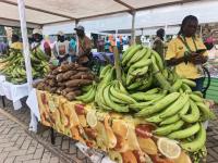 AngloGold Ashanti rallies stakeholders to drive agricultural development in Obuasi  