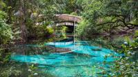 The best time to arrive at Florida springs for a calmer swim
