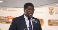 Q&A with Mkhuleko Hlengwa, deputy transport minister
