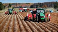 P.E.I. non-profit eyes food hub expansion with possible federal funding