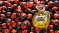 What An Expert Wants You To Know About Palm Oil