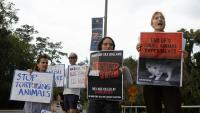 Local activists call for end to federally funded cat experiments