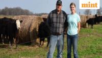 Indiana family restores eroded farmland to help protect a rare salamander — Report