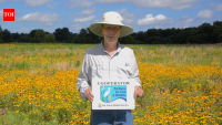 An Oklahoma landowner turned his family's cattle farm into a 130-acre haven for pollinators after noticing fewer monarch butterflies