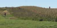 Hunters flock to South Dakota for pheasant season opener